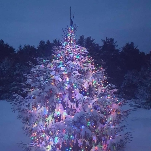 Meet your Posher, Lorie - Picture 4 of 4